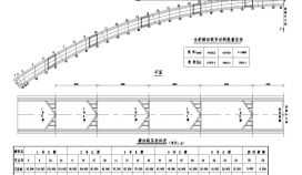 杭新景高速公路拱肋式大桥拱桥横向联系布置节点详图设计