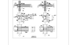 某建筑典型梁柱构造CAD节点详图